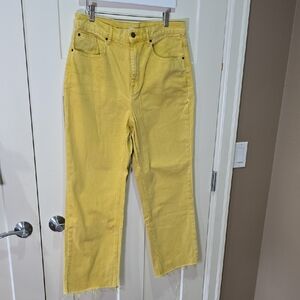 BDG High-Waisted Cowbody Raw Hem Colourful Jeans